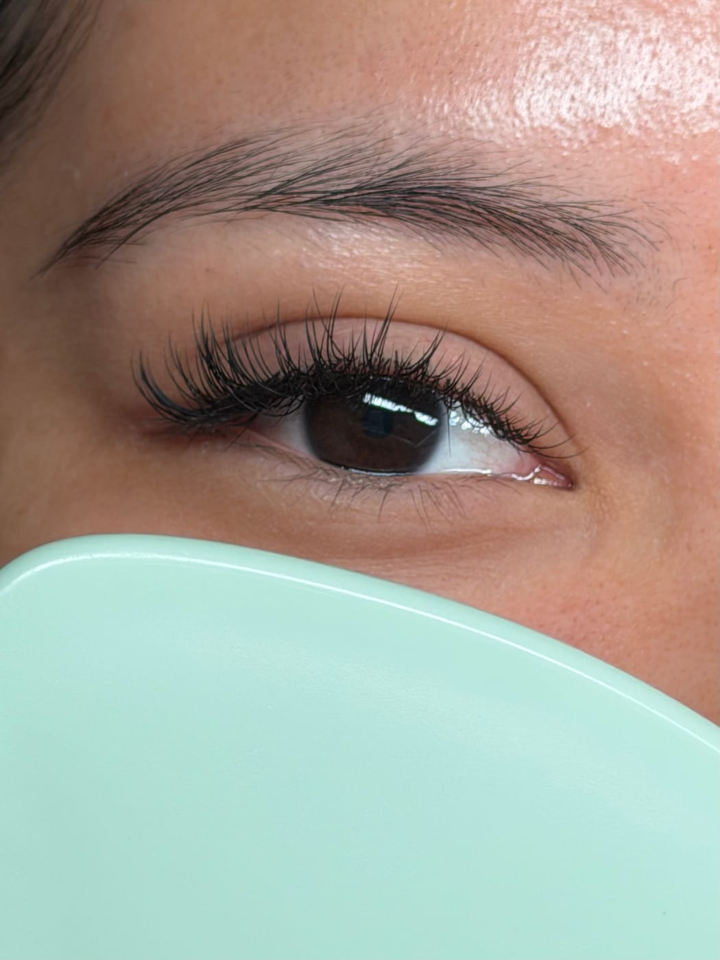Classic Full Set lash work
