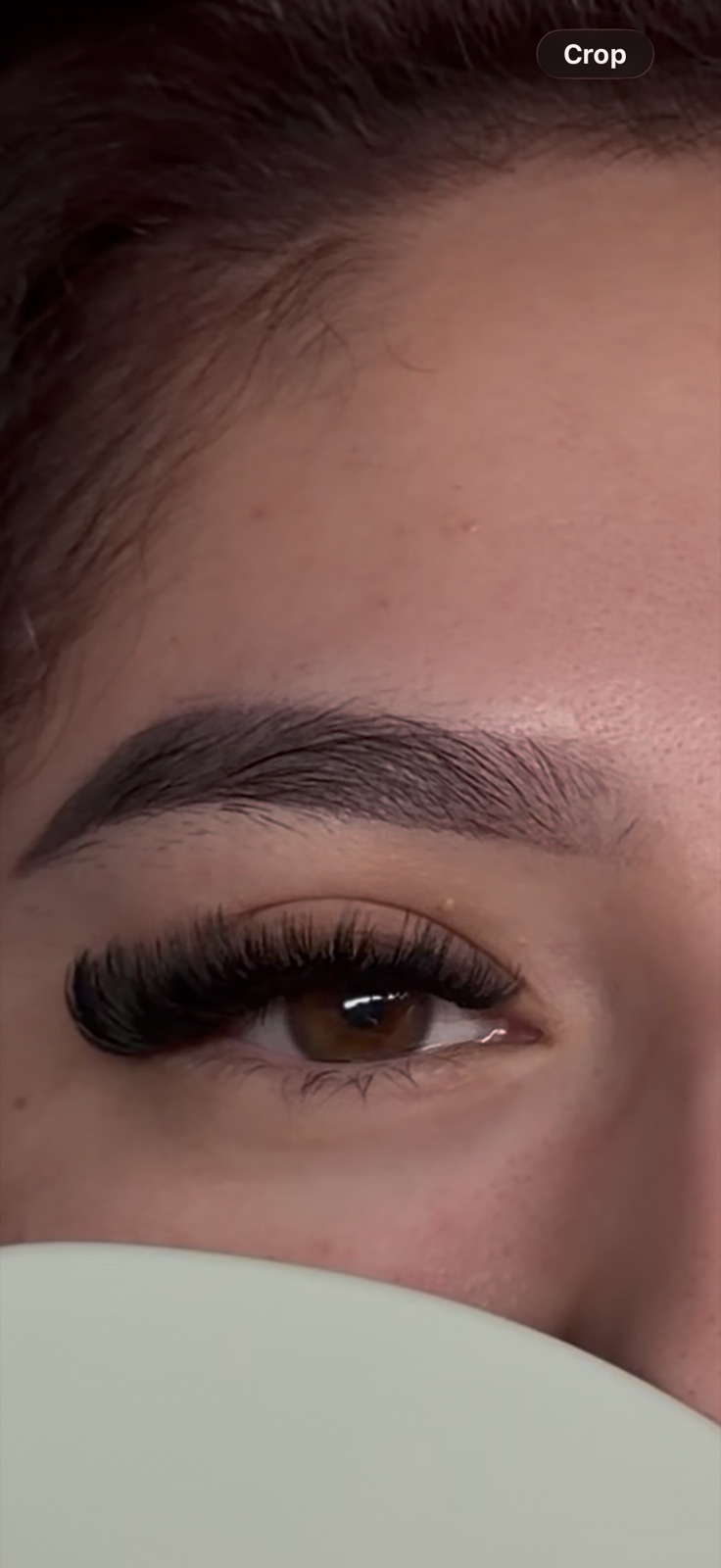 Volume lash set with full, fluffy density